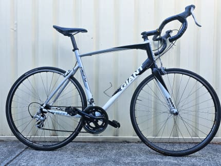 Gumtree giant outlet defy