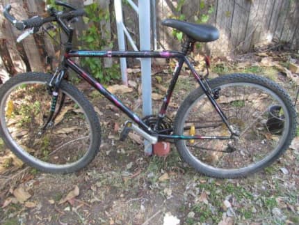 mens 23 inch frame mountain bike