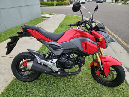 Gumtree honda deals grom