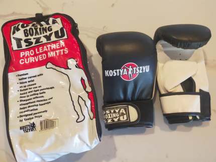 kostya tszyu boxing gloves