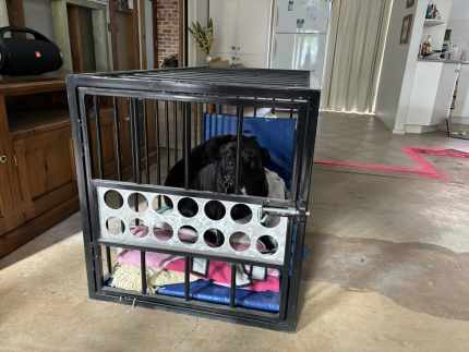 dog cages in South Australia Pet Products Gumtree Australia Free Local Classifieds