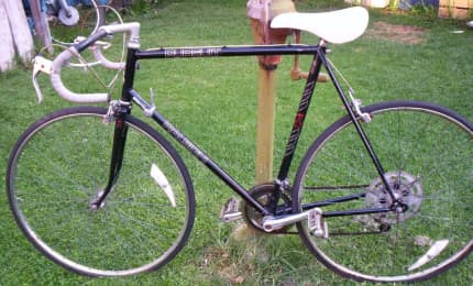 Raleigh discount pursuit tandem