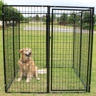 Great Dane Kennel Enclosure HeavyDuty Galvanised Steel Pet Dog Cat Pen