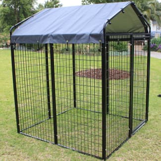 Cat cheap enclosure gumtree