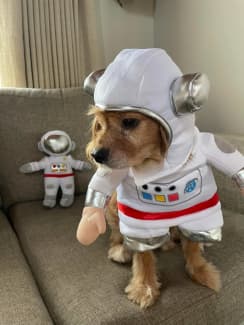 Astro Dog Clothes 