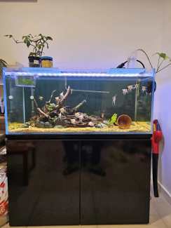 Aquasys 315 fish tank with black cabinet  