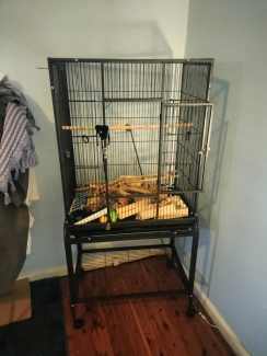 $50 Bird Cage - Great Size - 8 months old,  inside used only once . 