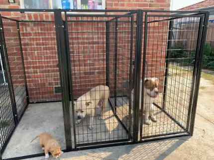 Greyhound crates for sale best sale