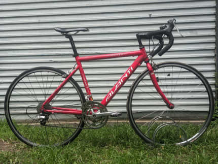 Avanti monza sales road bike price