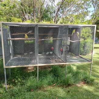 snake proof bird aviary