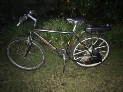 rotary motorised push bike