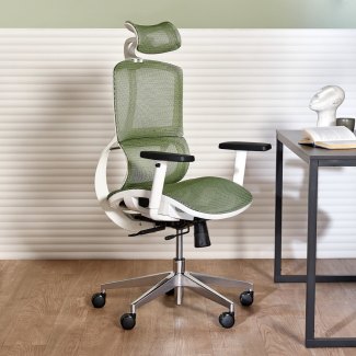 ergonomic chair in Sydney Region NSW Office Chairs Gumtree Australia Free Local Classifieds