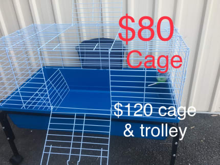 Gumtree guinea pig clearance cage