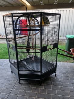 bird cages for sale central coast