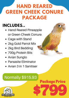 Pineapple   Green Cheek Package cage and accessories