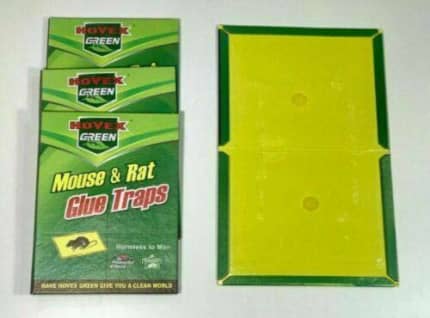 Gumtree Rattrap Max Glue Trap