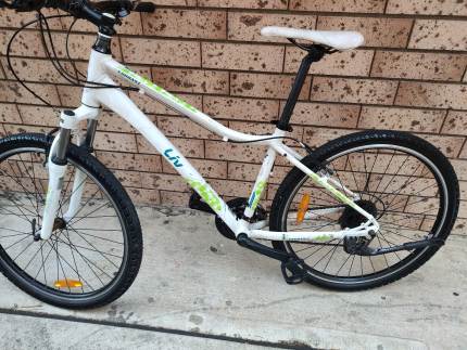 Gumtree mountain bike for sale discount