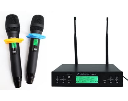 Twin Channel Professional Wireless Microphone System Dual XLR