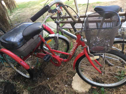 Gumtree trike fashion bike