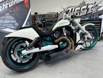 Gumtree harley hot sale