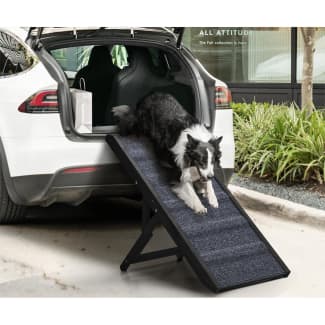 Gumtree dog outlet ramp