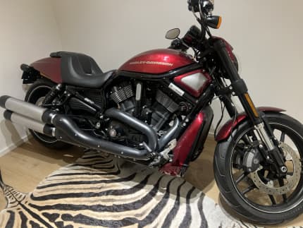 Gumtree harley online