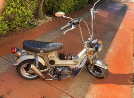 Honda discount z50 gumtree