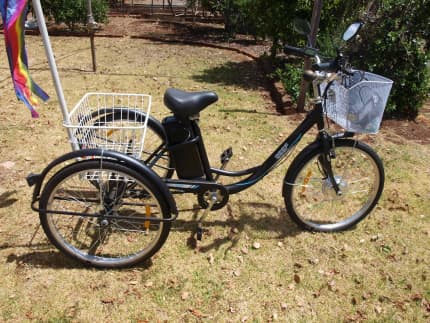 Adult best sale tricycle gumtree