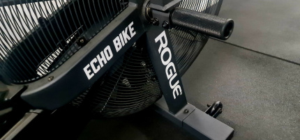 Rogue echo bike gumtree sale