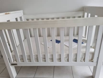 tasman eco cot gumtree