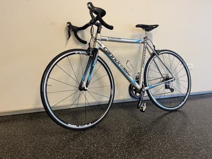 caad cannondale Gumtree Australia Free Local Classifieds