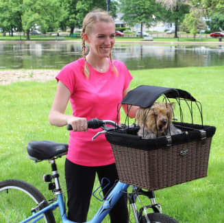 large dog bicycle basket