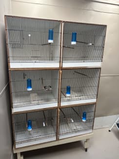 second hand canary breeding cages for sale