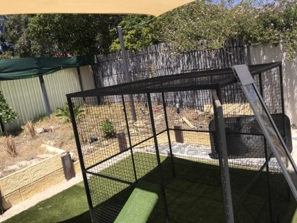 Cat enclosure gumtree hotsell