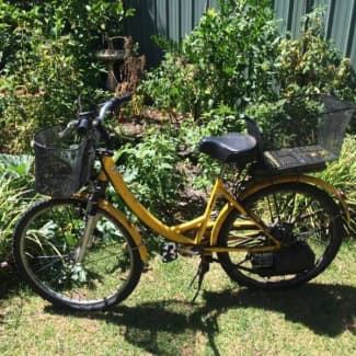 rotary motorised push bike