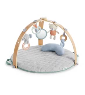 Ingenuity bassinet hotsell baby bunting