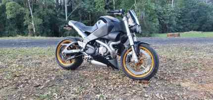 Buell for sale gumtree sale