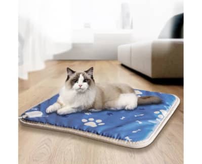 Electric heated best sale cat bed australia