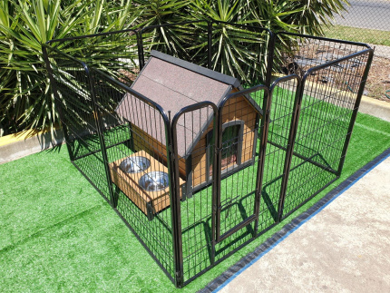 Cat enclosure gumtree best sale