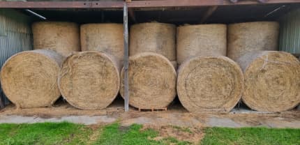 SHEDDED HAY FOR SALE 