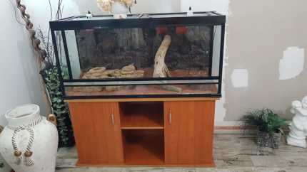 Snake Enclosure / Tanks and Stand