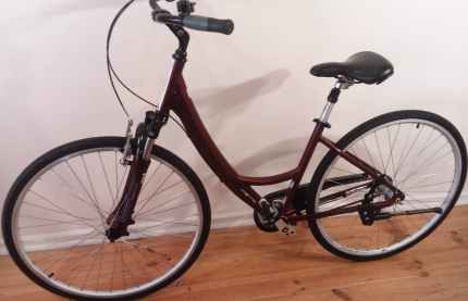 ladies hybrid bike 19 inch frame