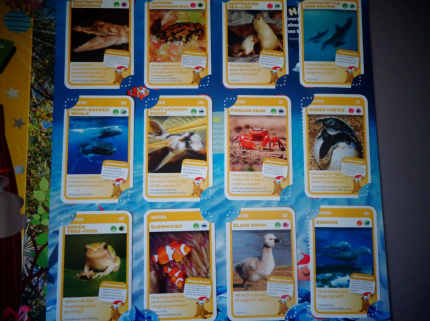 Woolworths Taronga Aussie Animals Cards | Australia