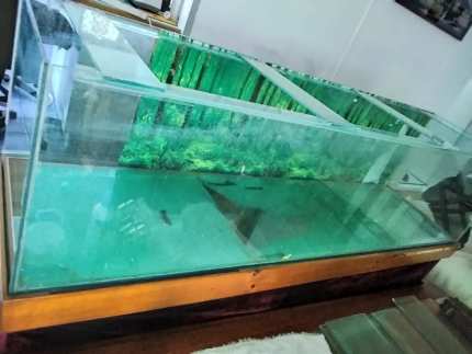 6 x 1.5 Ft fish tank and stand
