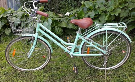 Ladies bike gumtree discount