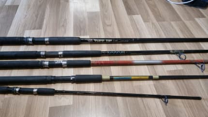 12 kg surf fishing rod, Fishing