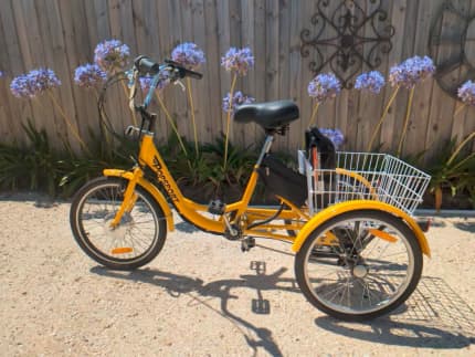 adult tricycle gumtree