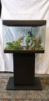 Glass aquarium 50l