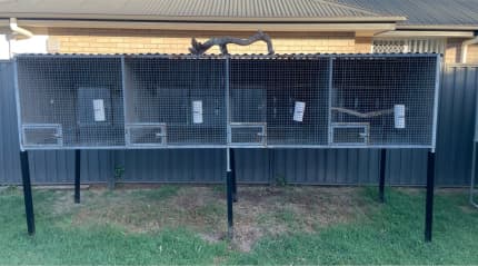 Aviary for store sale