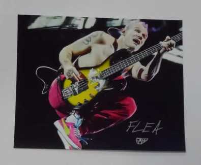 Offers Red hot chili peppers FLEA and Anthony autographed color 8 x 10 with COA